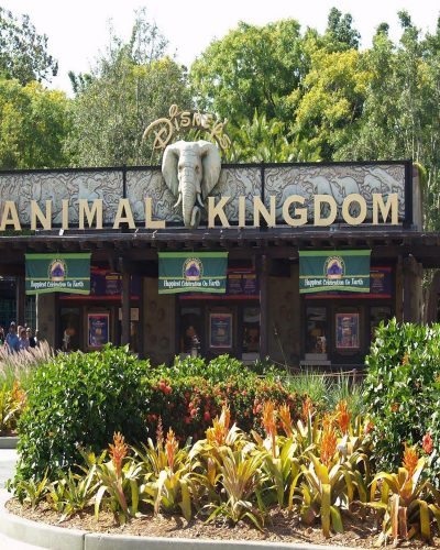 Animal Kingdom
